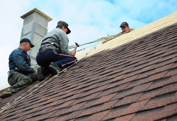 Best Roof Gutter Cleaning  in Mullens, WV